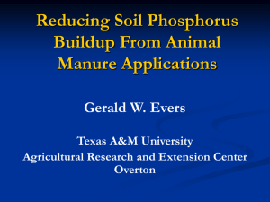 Reducing Soil Phosphorus Buildup From Animal Manure Applications