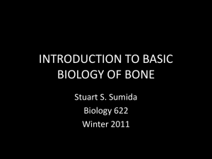 Overview of Bone Biology