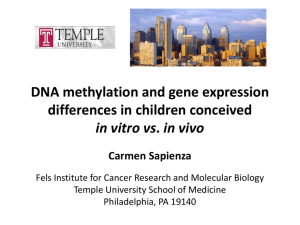 DNA methylation and gene expression differences in