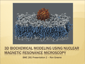 3D biochemical Modeling Using Nuclear Magnetic Resonance
