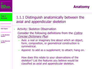 Topic 1.1 The Skeletal System