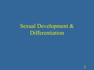 Sexual Development/Differentiation