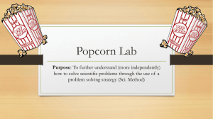 Popcorn Lab - Conclusion