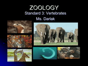 ZOO 3-1 2014 - Darlak4Science