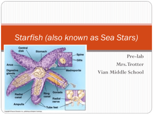 Starfish Lab - Vian Public Schools