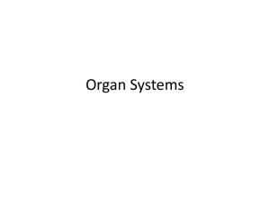 Notes - Organ Systems