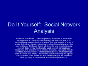 Social Networks in Organizations: Antecedents and