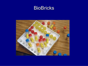 BioBricks Part Types Chassis – organism (E. coli, yeast, mammalian