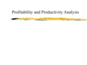 Profitability and Productivity Analysis
