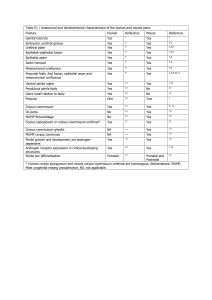 Table S1 | Anatomical and developmental characteristics of the