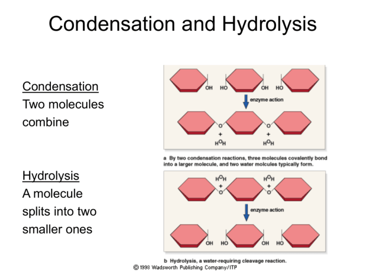 organic-chemistry-condensation-reactions-chemtalk