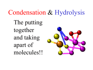 Condensation-Hydrolysis