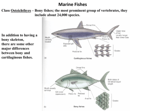 Marine Fishes3 - MATES-Biology-I