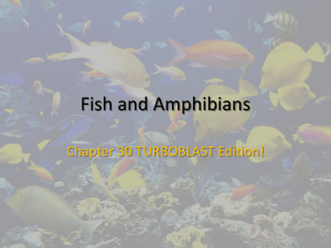 Fish and Amphibians - Tanque Verde Unified School District