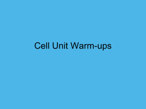 Cell Powerpoint