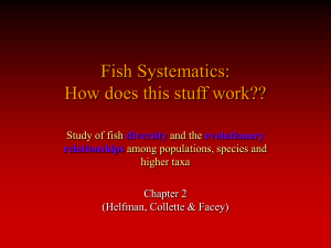 Fish Systematics