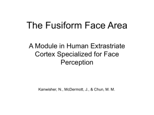 The Fusiform Face Area
