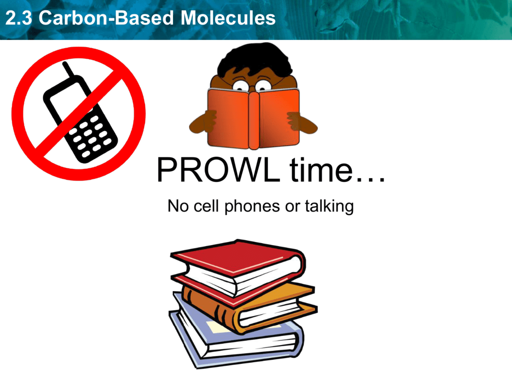 2-3-carbon-based-molecules