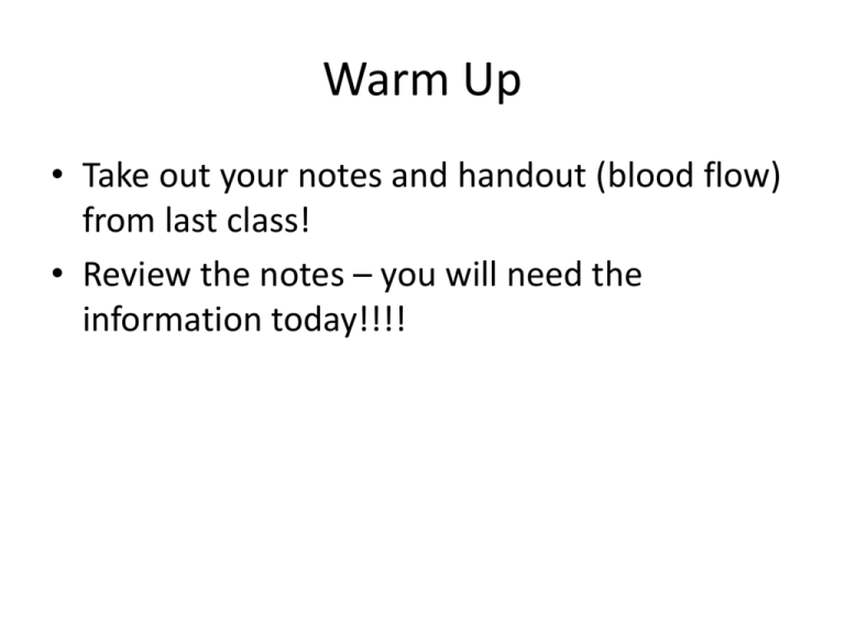 Circulatory System – Pig Heart Organ Observation Lab