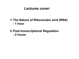 RNA Lectures (1, 2, and 3)