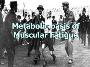 2. Muscular Fatigue