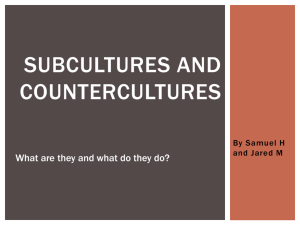 Subcultures and Countercultures