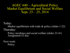 Market equilibrium with trade and policy
