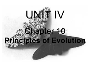 PowerPoint Lecture Chapter 10