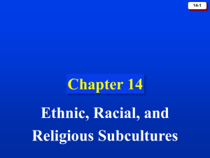 Chapter 14: Ethnic, Racial, and Religious Subcultures