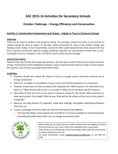 Monthly Challenge – Energy Efficiency & Conservation