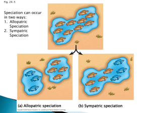 (a) Allopatric speciation
