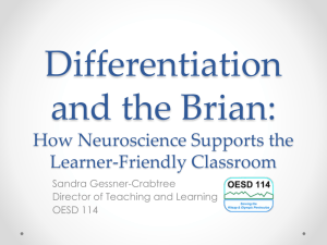 Differentiation and the Brian