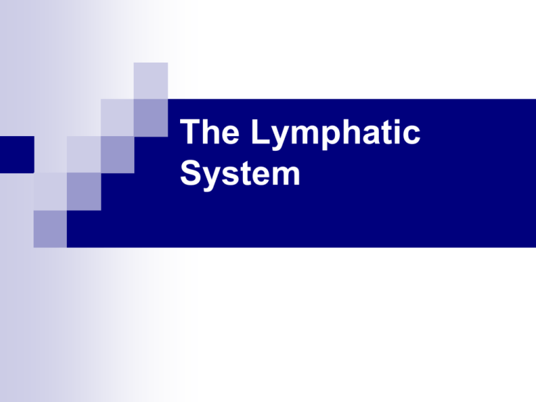 The Lymphatic System