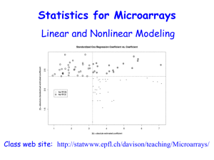 ppt slides