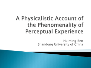 A Physicalistic Account of the Phenomenality of Experience