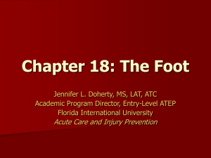 Chapter 18: The Foot - Florida International University