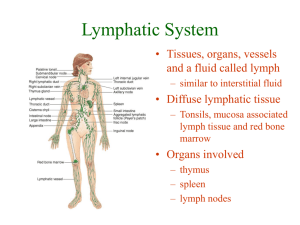 Lymphatic System - SCF Faculty Site Homepage