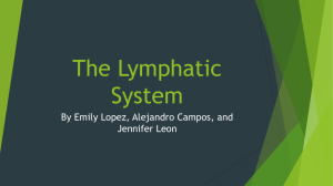 The Lymphatic System