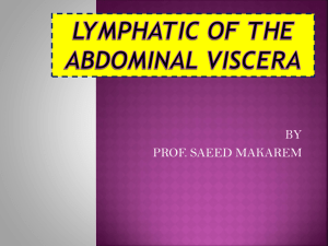 6.LYMPHATIC OF THE ABDOMINAL VISCERA