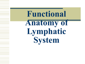 Functional Anatomy of Lymphatic System