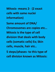 Mitosis and Meiosis notes