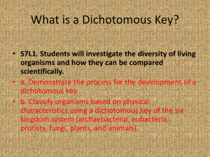 What is a Dichotomous Key?