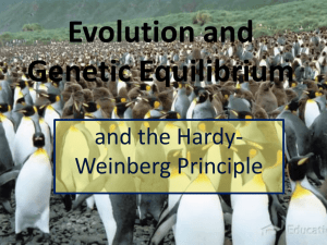 Evolution and Genetic Equilibrium PowerPoint