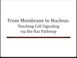 From Membrane to Nucleus (PowerPoint)