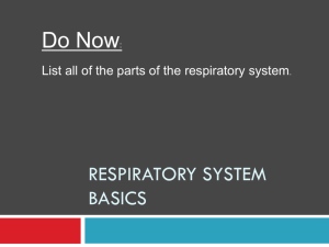 Respiratory System Basics - Garnet Valley School District
