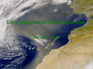 Early Diagenesis / Metal Behaviour