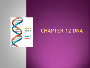 CHAPTER 12 DNA