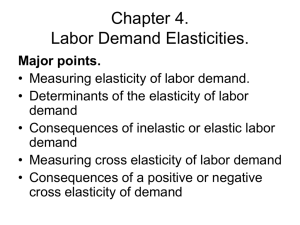 Chapter 4. Labor Demand Elasticities.