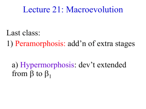 Lecture 21: Macroevolution