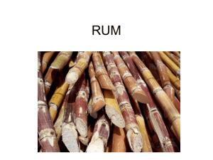 RUM - Food and Beverage